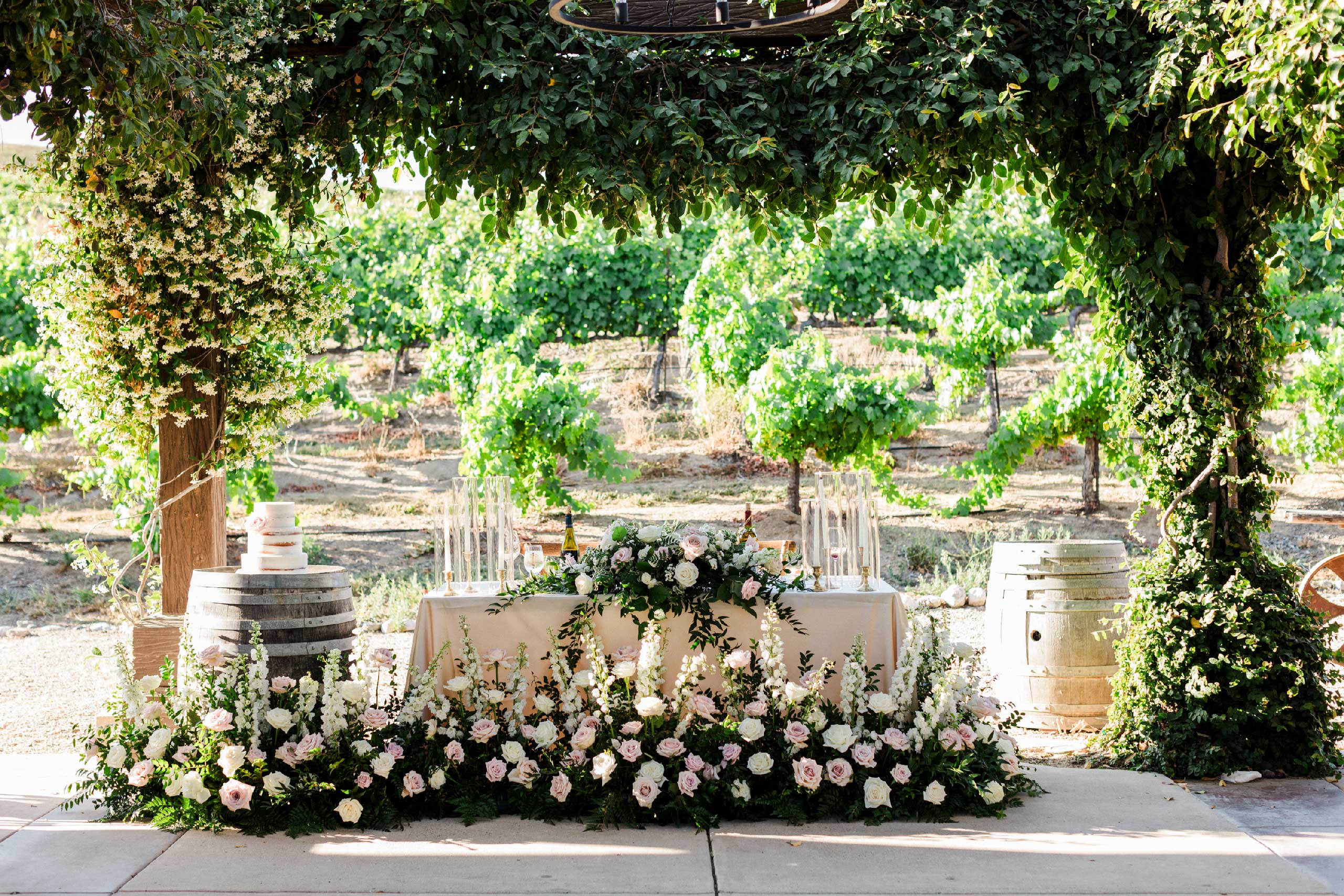 an elegant outdoor wedding