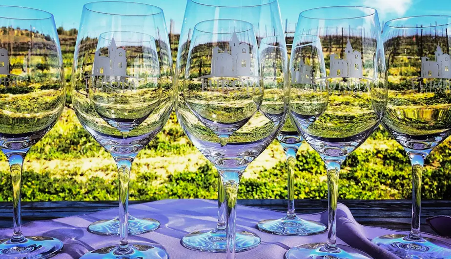 Wine glasses with vineyard view