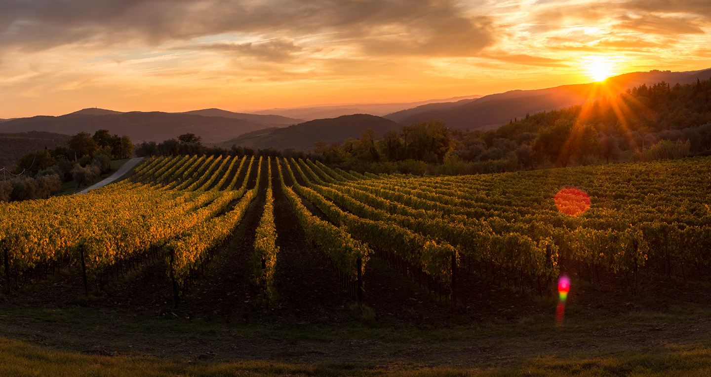 A Night in Tuscany