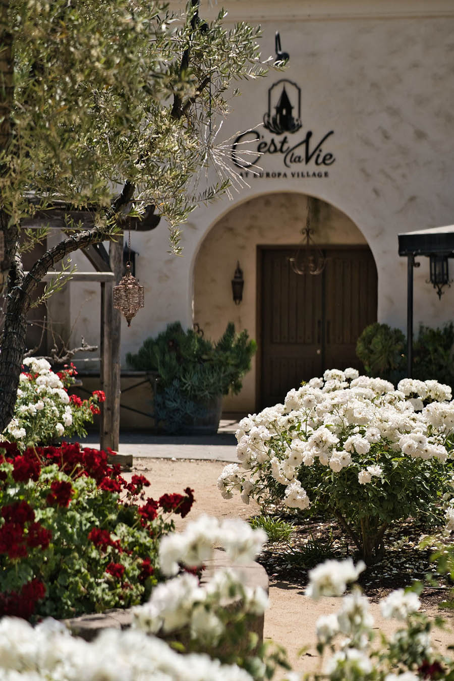 rose garden at c'est la vie