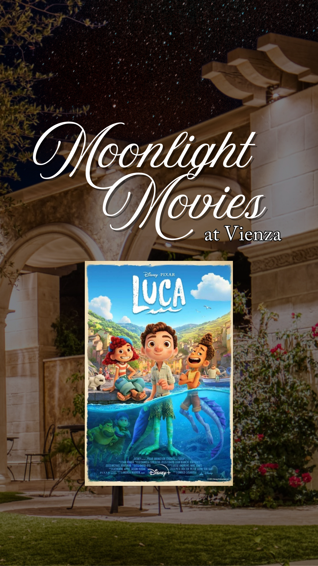 Moonlight Movies at Vienza Web Event